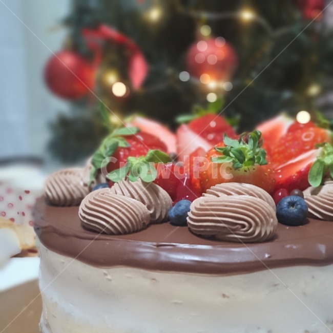 confectionery,food,음식,sweets,과자,dessert,디저트,cake,케이크,크리스마스,메리크리스마스,성탄절,merry christmas,빵,bread