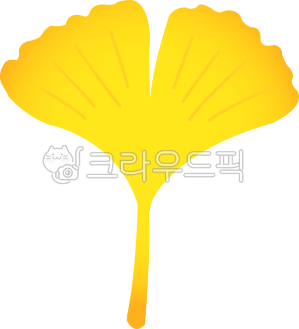seasons,maple tree,nature,tree,deciduous,leaf,maple leaf,leaves,plant,maple,season,ginkgo,ginkgo tree,autumn,ginkgo leaf