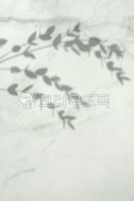 discoloration,blank,shadow,pattern,blur,scenery,branch,leaves,Archaic,shape,reflection,wallpaper,nature,texture,copyspace,retro,abstract,blank space,leaf,Marble,marble,material,background,plant,silhouette,wall