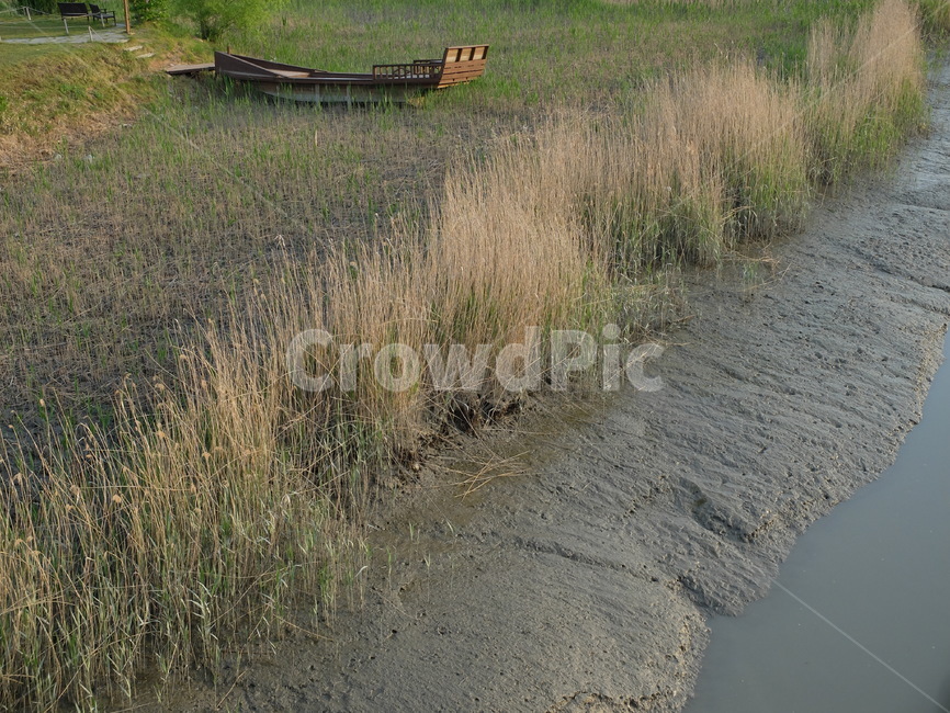 순천만,농촌,시골풍경,갈대,들녘,자연,풍경,nature,landscape