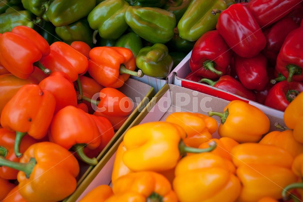 plant,식물,food,음식,vegetable,야채,파프리카,paprika,market,시장,채소,색,color,한국전통,한국문화,korean traditional,korean culture