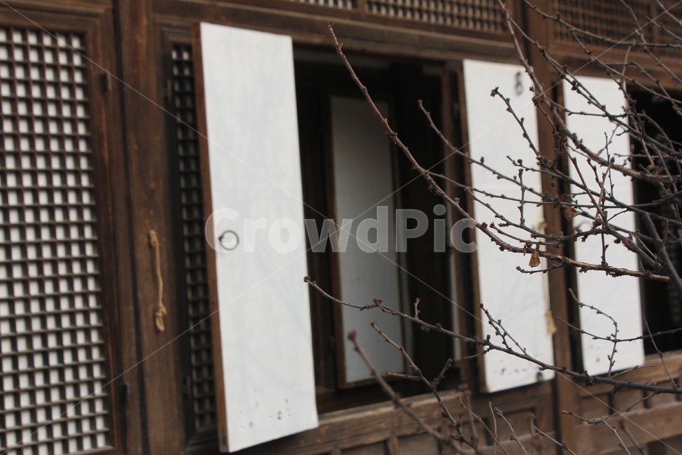 창호,문창살,앵두나무,한지문,뒤뜰,휴식,한국전통,한국문화,korean traditional,korean culture