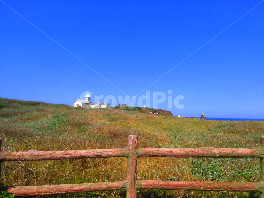 nature,자연,outdoors,옥외,grassland,목초지,field,들,제주도,섭지코지,jejudo,자연,풍경,nature,landscape