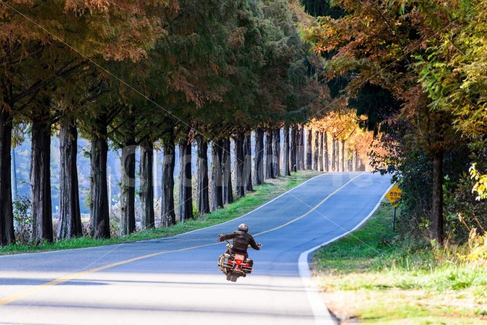 풍경,모래재,길,가을,단풍,가을,계절,fall,autumn,season,자연,풍경,nature,landscape,한국자연풍경,한국자연경관,korea nature landscape,사람,인물,인간,human,person,스포츠,레저,운동,sports,leisure,exercise,교통,교통수단,traffic,transportation,road,도로,asphalt,아스팔트,motorcycle,오토바이,vehicle,차량