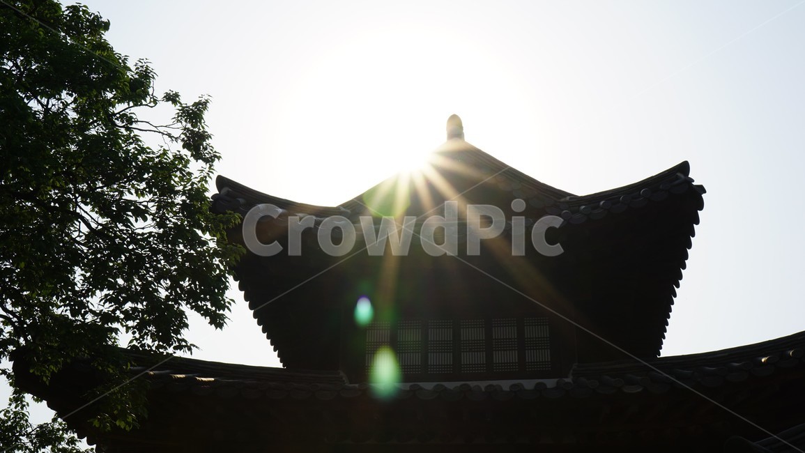 덕수궁,기와,전통,궁궐,deoksugung,rooftile,slate,koreapalace,한국전통,traditional,한국의미,한국전통,한국문화,korean traditional,korean culture,건축물,건물외관,exterior,building,structure,architecture,construction