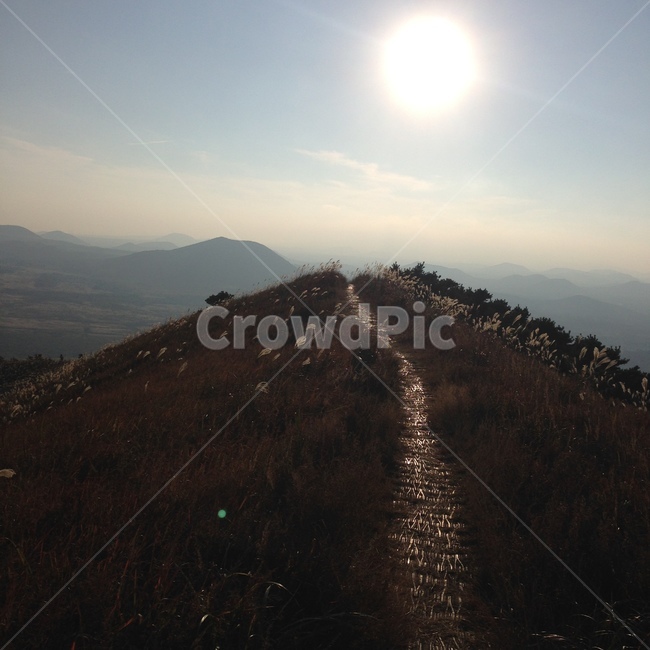 플레어,light,빛,nature,자연,제주도,오름,오름길,제주도,jeju,jeju island