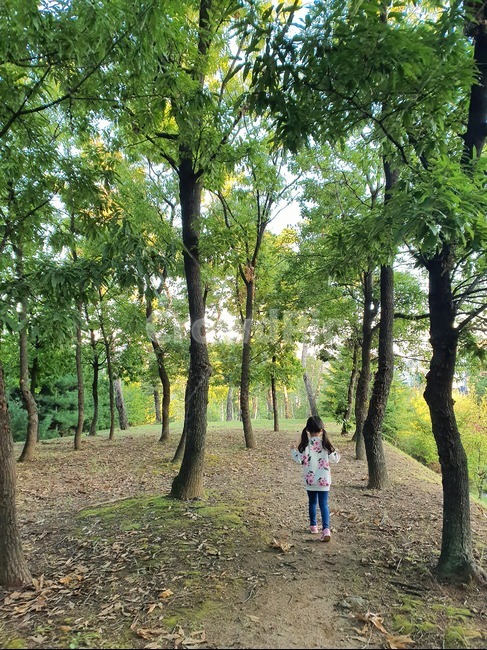 아이,뒷모습,나무,숲,사람,사람,인물,인간,human,person,어린이,어린아이,child,children,kid