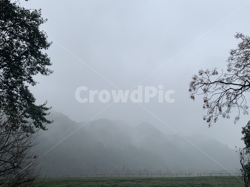 nature,자연,weather,안개,항저우
