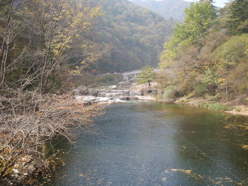 나무,산,흙,강,하늘