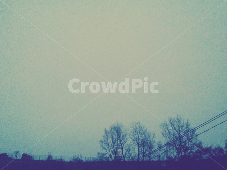 nature,자연,outdoors,옥외,풍경