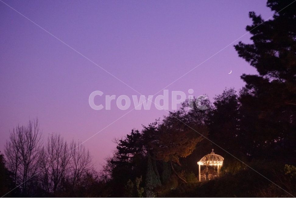 동화,궁전,색감,힐링,노을,보라색,인디핑크,분홍색,야경,밤,풍경,nightscape,night,landscape,색깔,색상,색채,색감,color sense,color sensitivity,feeling of color
