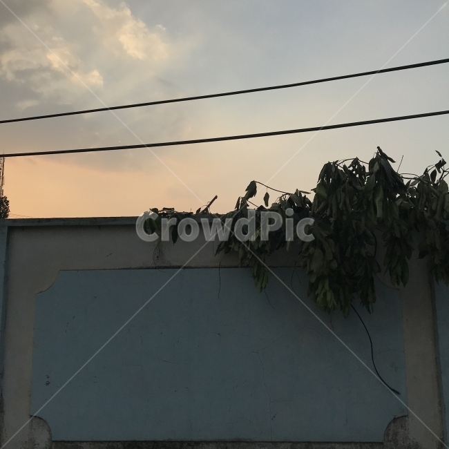해외,여행,베트남,호치민,길거리,노을,세계,world,travel,vietnam,hochiminh,street,sunset,식물,자연,plants,nature