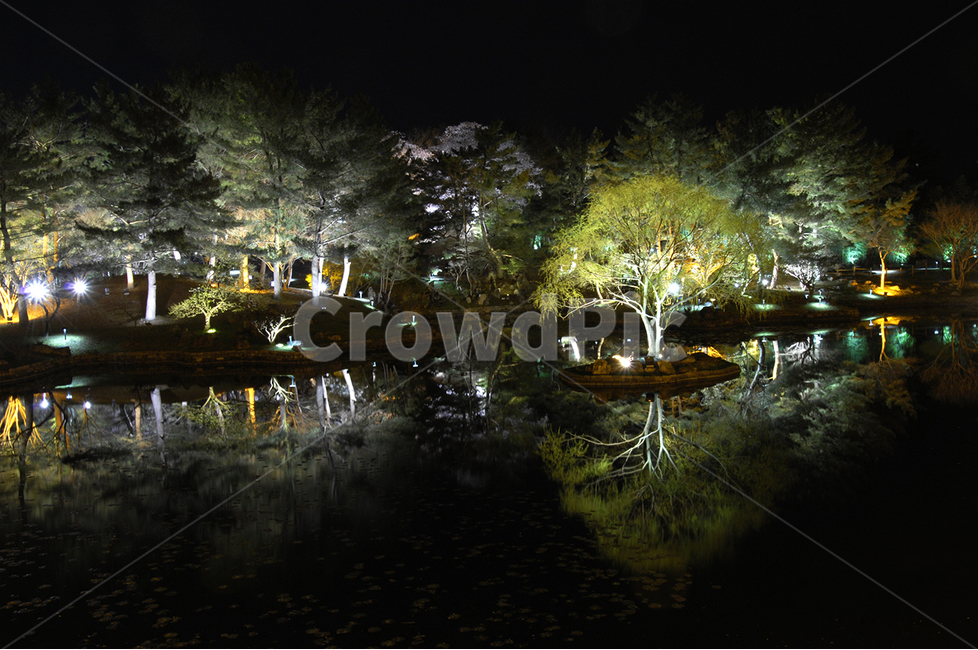 경주,자연,야경,동궁과월지,안압지,야경,밤,풍경,nightscape,night,landscape,nature,outdoors,옥외,water,물