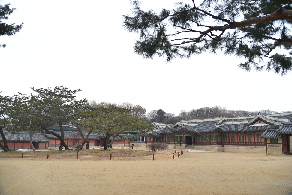 창덕궁,고궁,왕,조선왕조,왕의집,한국전통,한국문화,korean traditional,korean culture,랜드마크,landmark,tourist attraction,한국랜드마크,한국관광지,한국명소,korea landmark,korea tourist attraction