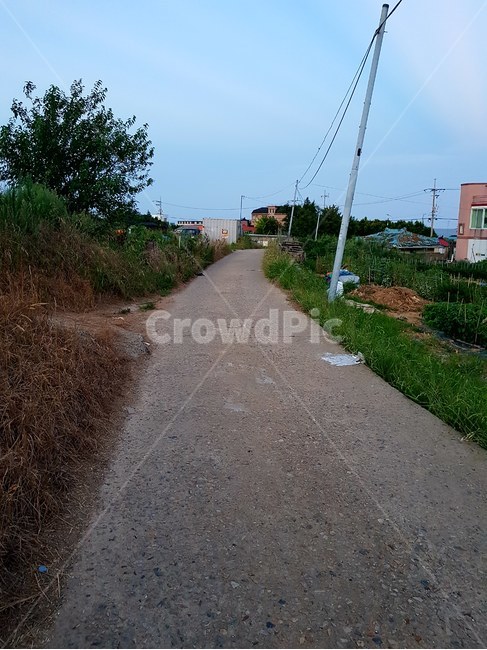 asphalt,아스팔트,road,도로,하늘,전봇대,길