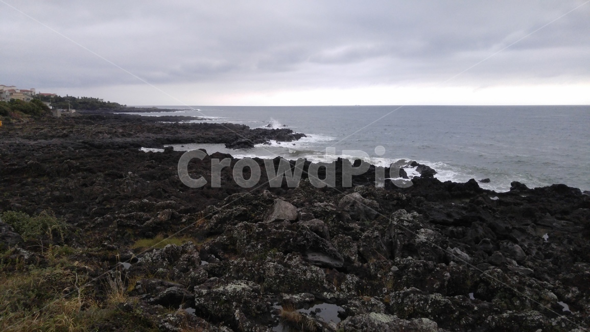 제주,제주도,해안,바다,바닷가,파도,풀,풀숲,grass,plant,잔디,식물,곶,promontory,자연,풍경,nature,landscape