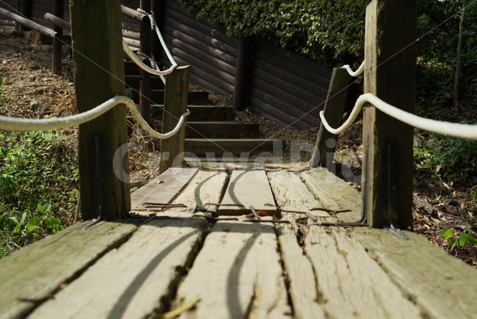 다리,나무,산책길,숲,자연,자연,풍경,nature,landscape,banister,난간,handrail,path,통로,walkway,보도