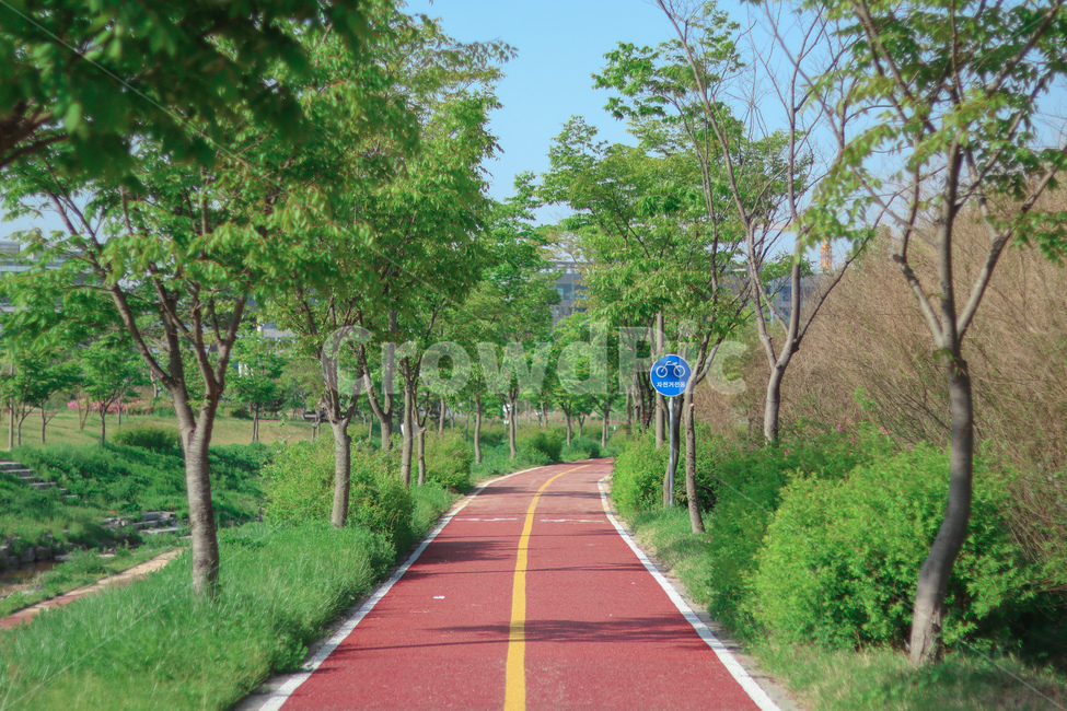 길,산책로,공원,나무,여름,자연,풍경,nature,landscape,식물,plants,나무,trees,wood,road,도로,highway,고속도로,freeway,고속 도로