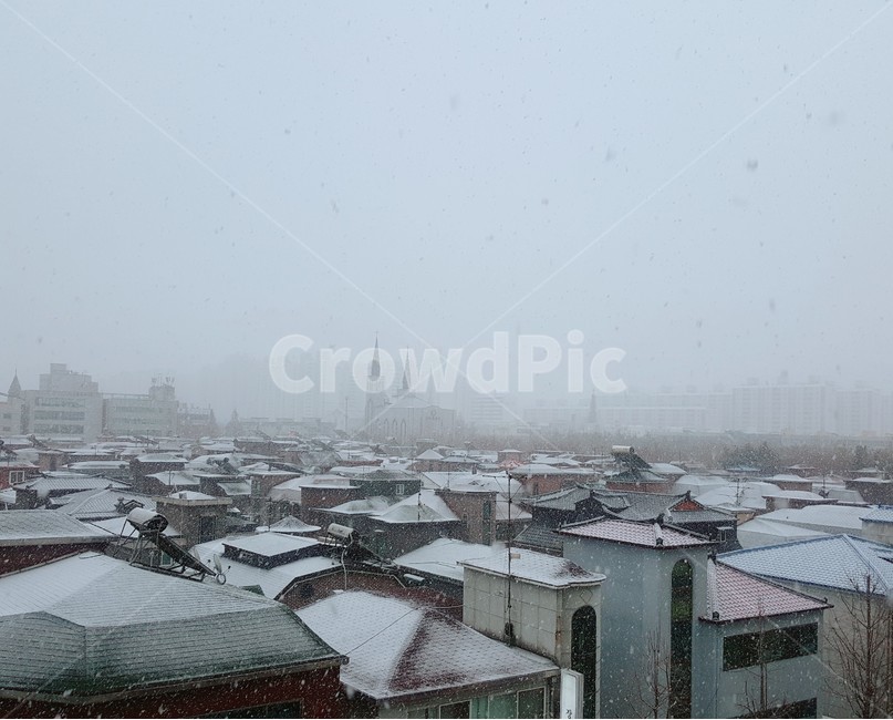 눈,흐린날,폭설,쌓인눈,함박눈,평화로운,조용한,소복소복,겨울,계절,winter,season