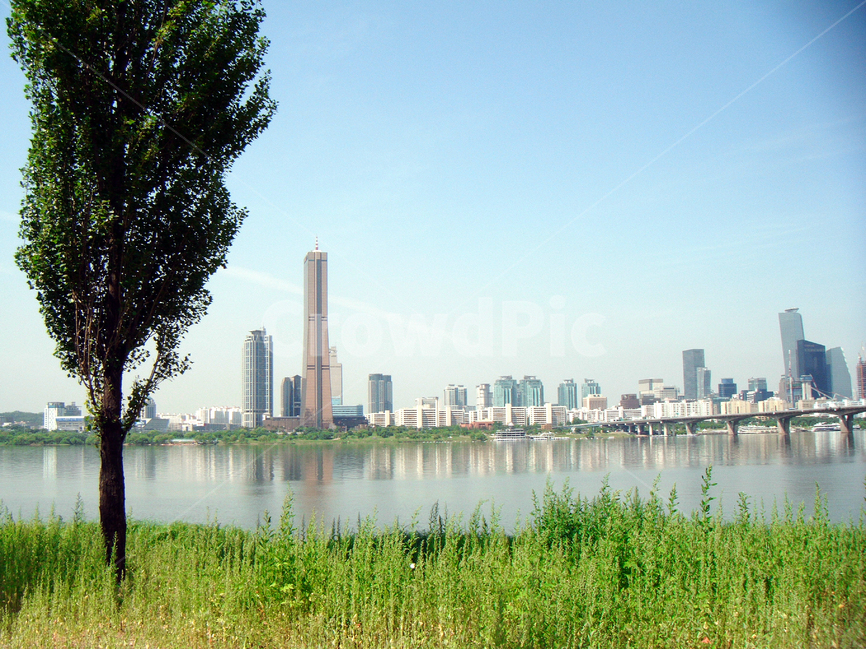 한강,자연풍경,자연,고요,풍경,강,나무,초록,감성,자연,풍경,nature,landscape,도시,city,한국도시풍경,한국도시경관,korea cityscape,식물,plants,나무,trees,wood,tree,plant