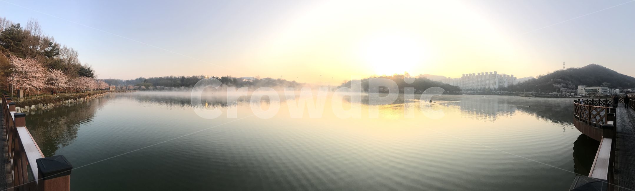 저수지,새벽,안개,벚꽃,봄나들이,산책,여명,일출,자연,풍경,nature,landscape,weather,날씨,outdoors,옥외,fog