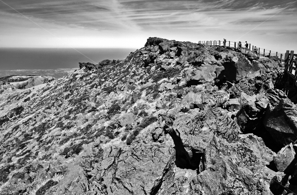 한라산,제주도,정상,탐방로,영산,백록담,등산,흑백,자연,풍경,nature,landscape,한국자연풍경,한국자연경관,korea nature landscape,제주도,jeju,jeju island,흑백,모노톤,monochrome,black and white