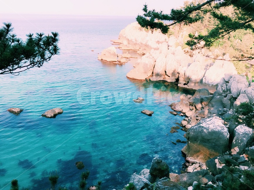 바다,나무,푸른바다,바위,풍경,자연,풍경,nature,landscape,promontory,곶,outdoors,옥외,shoreline,해안선,water,물,sea,ocean,대양,cliff,낭떠러지