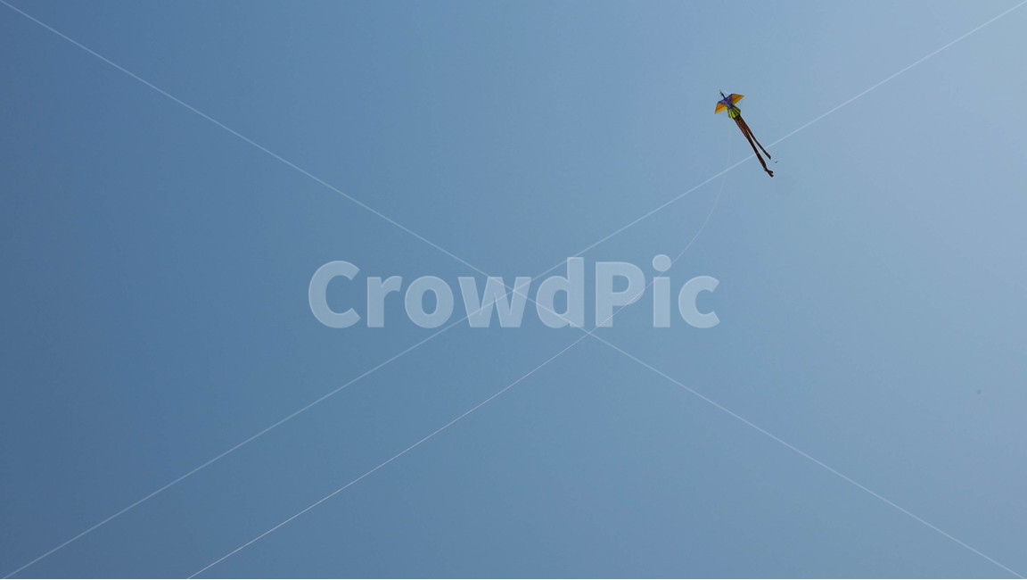 가오리연,연,하늘,가을하늘,가을,kite,sky,bluesky,레저활동