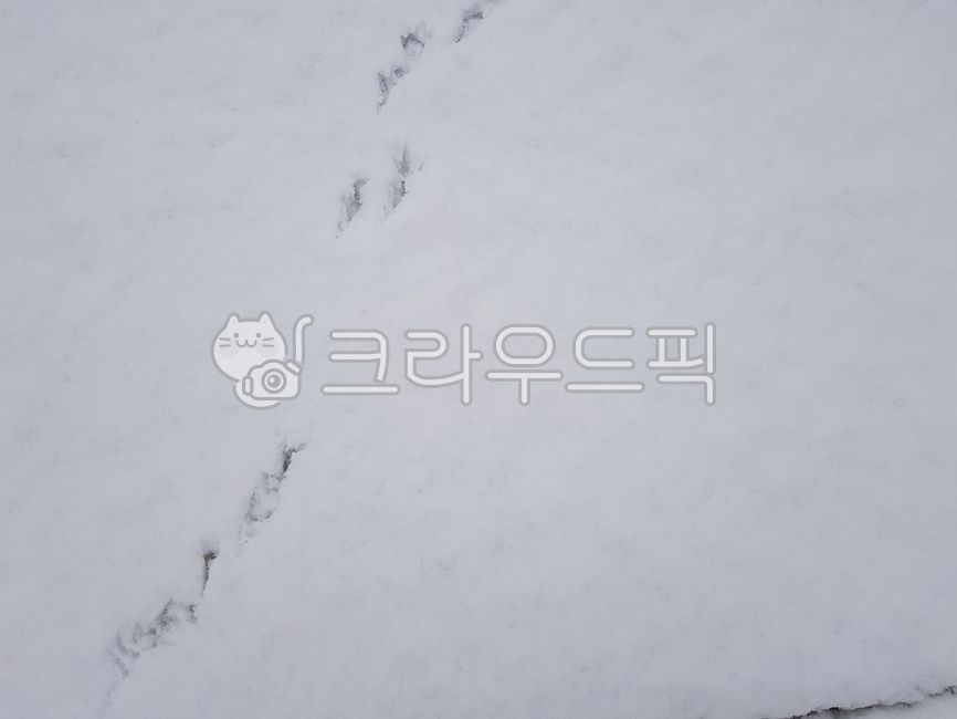 footprint,snow background,texture,winter,white background,eye stationery,Emotion