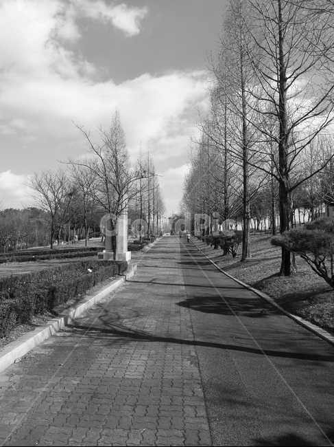 길,흑백,balck,road,자연
