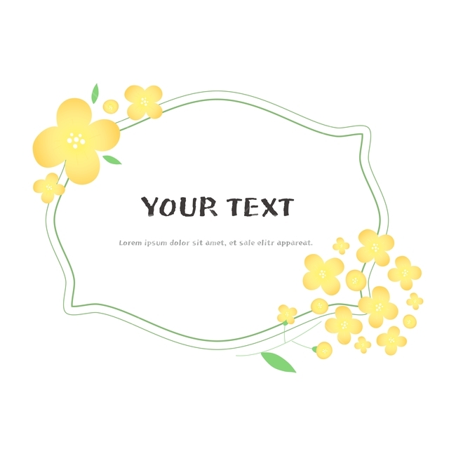 유채꽃,꽃,봄꽃,봄,프레임,텍스트박스,라벨,탬플릿,템플릿,그래픽,일러스트레이션,graphic,illustration