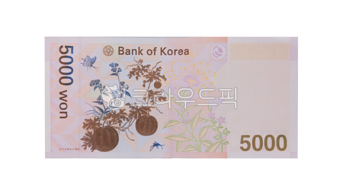지폐,돈,money,오천원,5000원,초충도