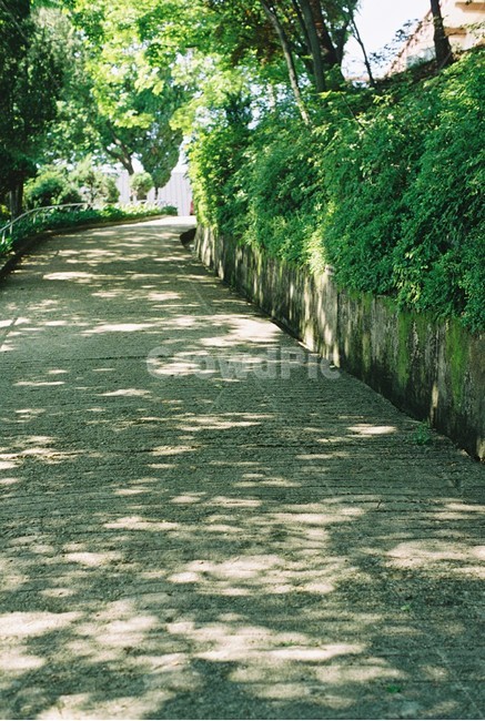 길,그림자,여름,나무그림자,빛,자연,풍경,nature,landscape,garden,정원,outdoors,옥외,arbour,정자,path,통로