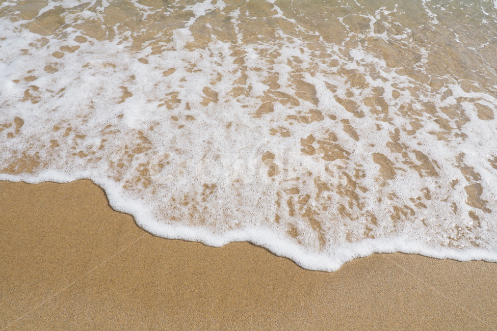 바다,정동진,바닷가,sea,beach,wave,파도