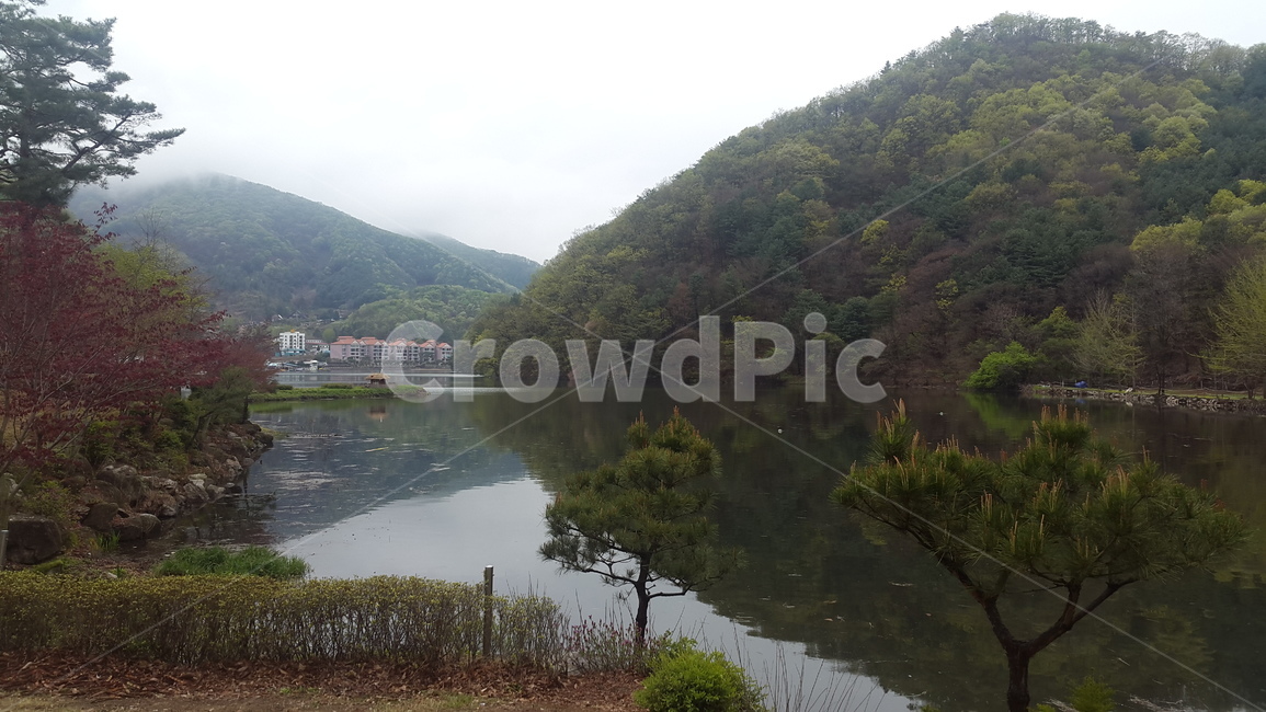 nature,자연,water,물,outdoors,옥외,강,계곡,바다,나무