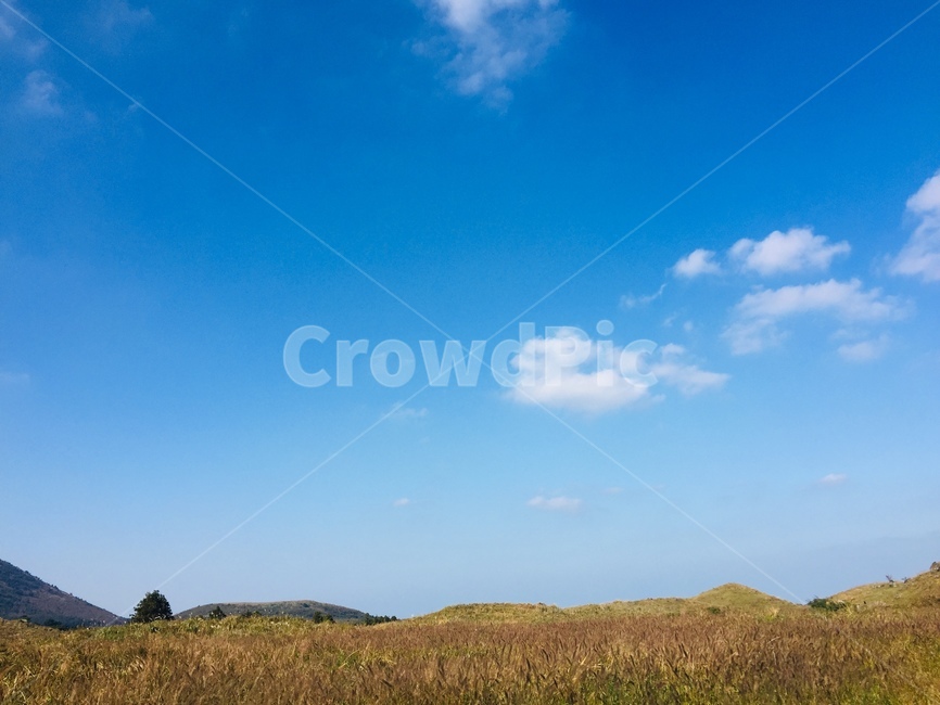 제주도,산,풍경,구름,하늘,갈대밭,자연,풍경,nature,landscape,outdoors,옥외,grassland,목초지,field,들