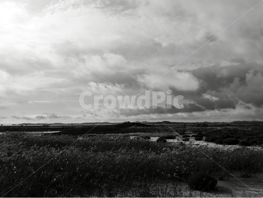 weather,날씨,nature,자연,cloud,구름,sky,하늘,서해,풀,흑백,outdoors,적운,cumulus,풍경
