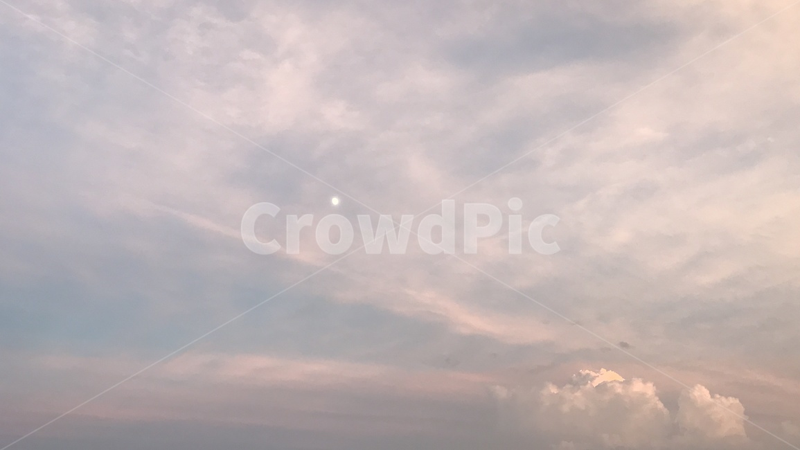 달,하늘,구름,분홍색,달빛,오후,moon,cloud,sky,pink,자연,풍경,nature,landscape,outdoors,옥외,weather,날씨