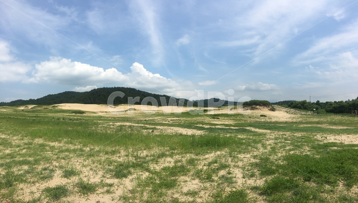 태안,사구,하늘,구름,태안사구