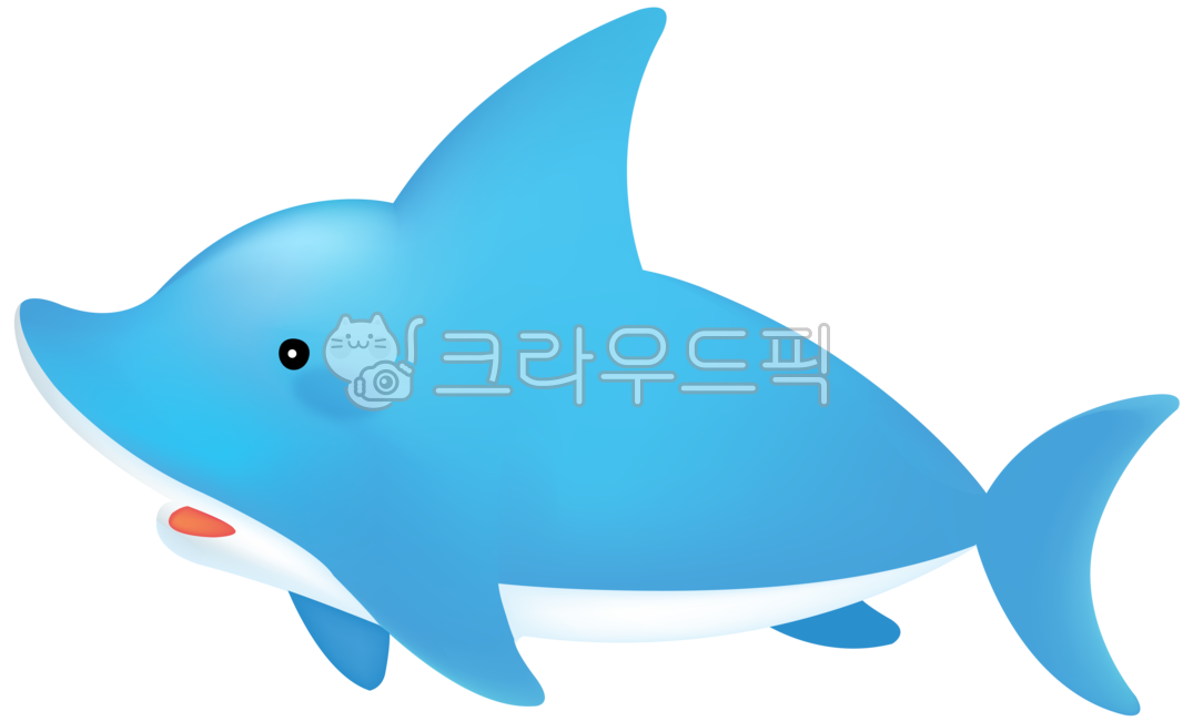 ocean,Dolphin,animal,dolphin show