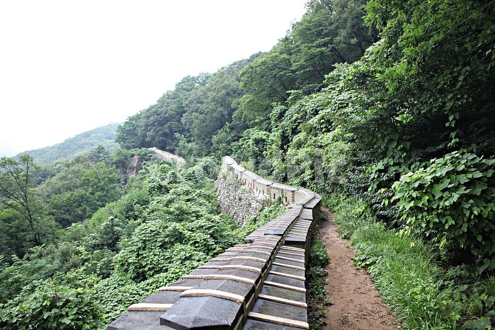 남한산성,성,성곽,길,둘레길,벽,숲길,숲,담,돌담,풍경,여름