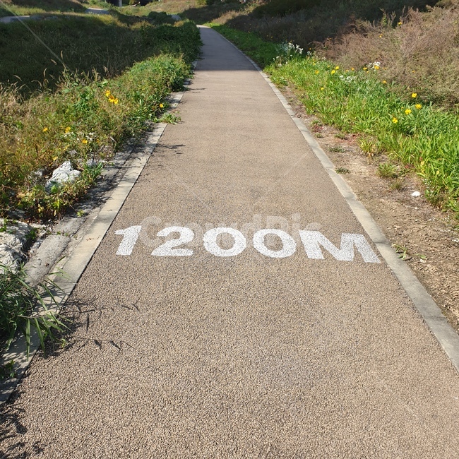 도로,산책,running,가을,운동,여유