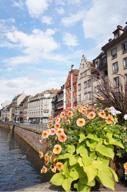 스트라스부르,프랑스,쁘띠프랑스,꽃,강,strasbroug,france,petitefrance,flowers,river,감성사진,해외,외국,다리,bridge,유럽,europe
