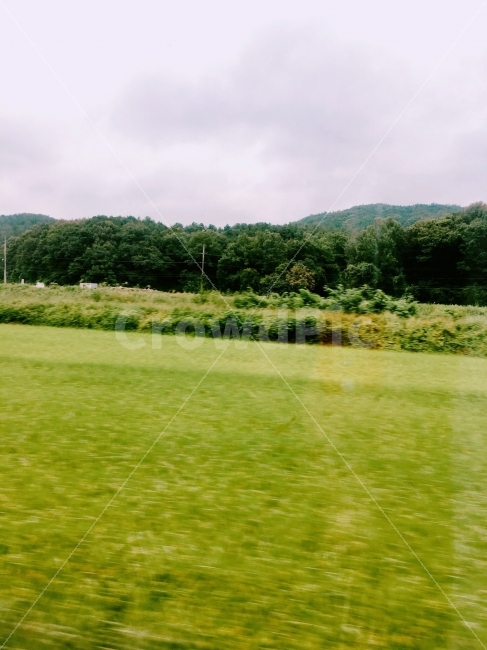 기차,사진,자연,한국,풍경,풍경사진,감성사진,photo,sky,natural,korea,view,photoraphy,trip,여행,자연,풍경,nature,landscape,한국자연풍경,한국자연경관,korea nature landscape,grass,잔디,plant,식물,field,들,outdoors,옥외