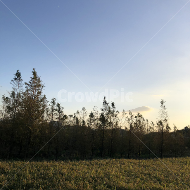 nature,자연,outdoors,옥외,나무,tree,sky,하늘,자연,풍경,nature,landscape