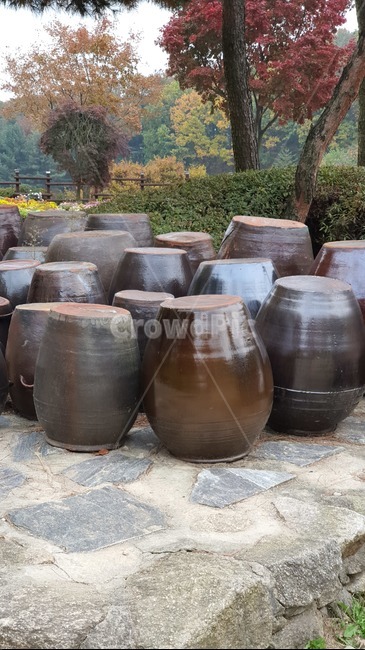 항아리,나무,식물,장독대,tree,시골,한국전통,한국문화,korean traditional,korean culture