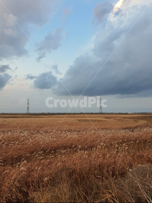 갈대,가을,autumn,풍경,하늘,sky,landscape