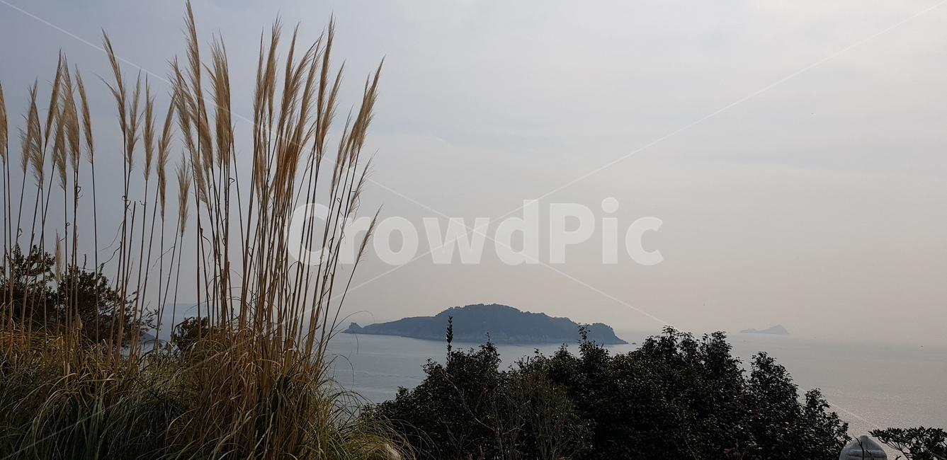 거제바다,저녁바다,갈대,바다,가을,풍경,자연,풍경,nature,landscape,grass,잔디,plant,식물,lawn,reed