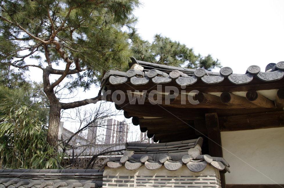전통가옥,한옥,tradition,기와,기와지붕,나무
