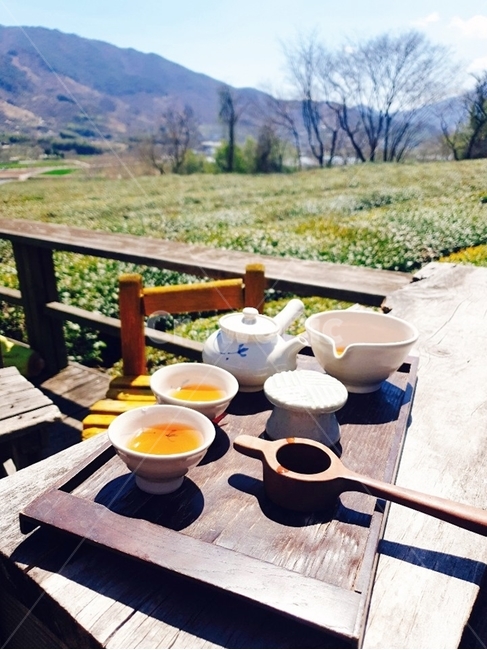 하동다원,다원,녹차밭,다도,차마시기,차우리기,녹차,홍차,음료수,drink,beverage